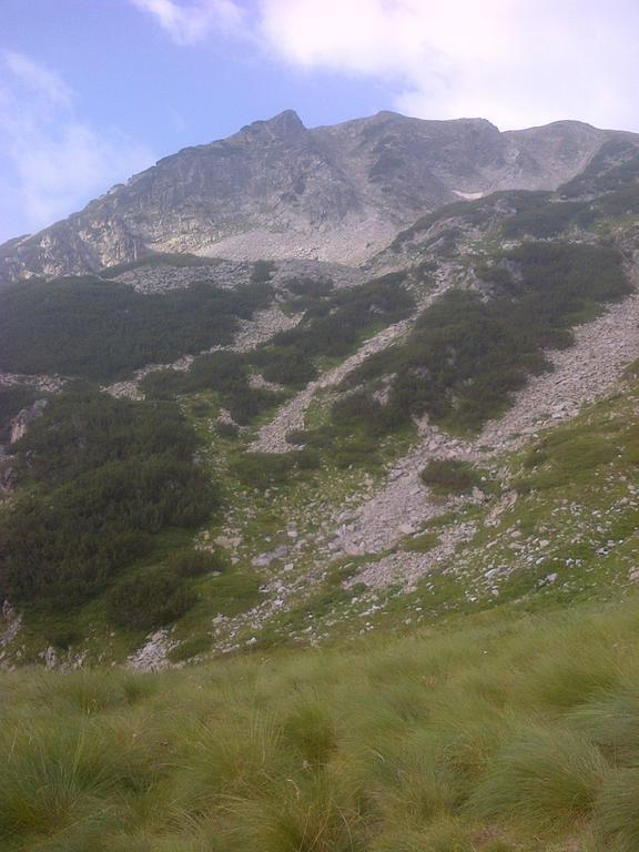Apartments In Eagle'S Nest Банско Екстериор снимка